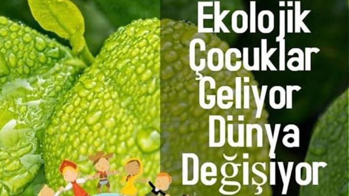 Ekolojik Çocuklar Geliyor Dünya Değişiyor